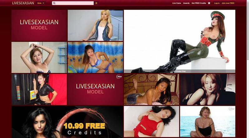The LiveSexAsian.com site