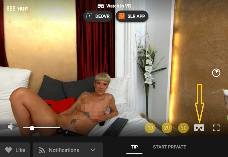 SexLikeReal offers you VR videos and VR live chats