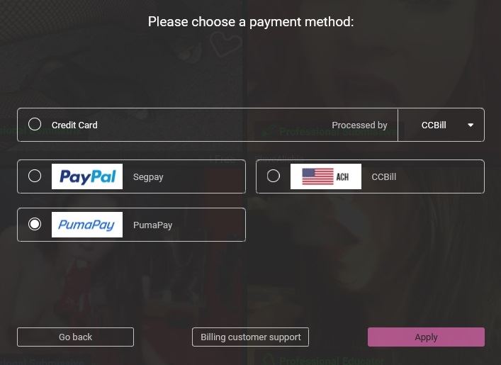 Payment methods available on FetishGalaxy